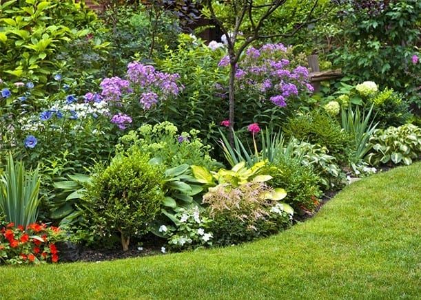 Creating Beautiful Garden Borders: A Guide to Designing Your Outdoor Space