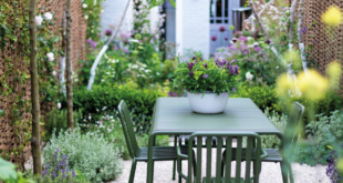 patio garden ideas