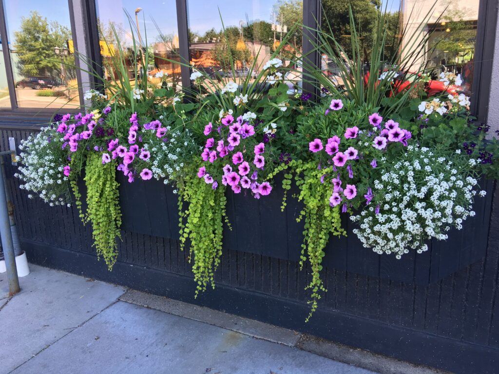 deck planters