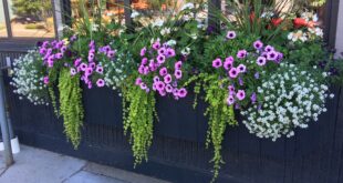 deck planters