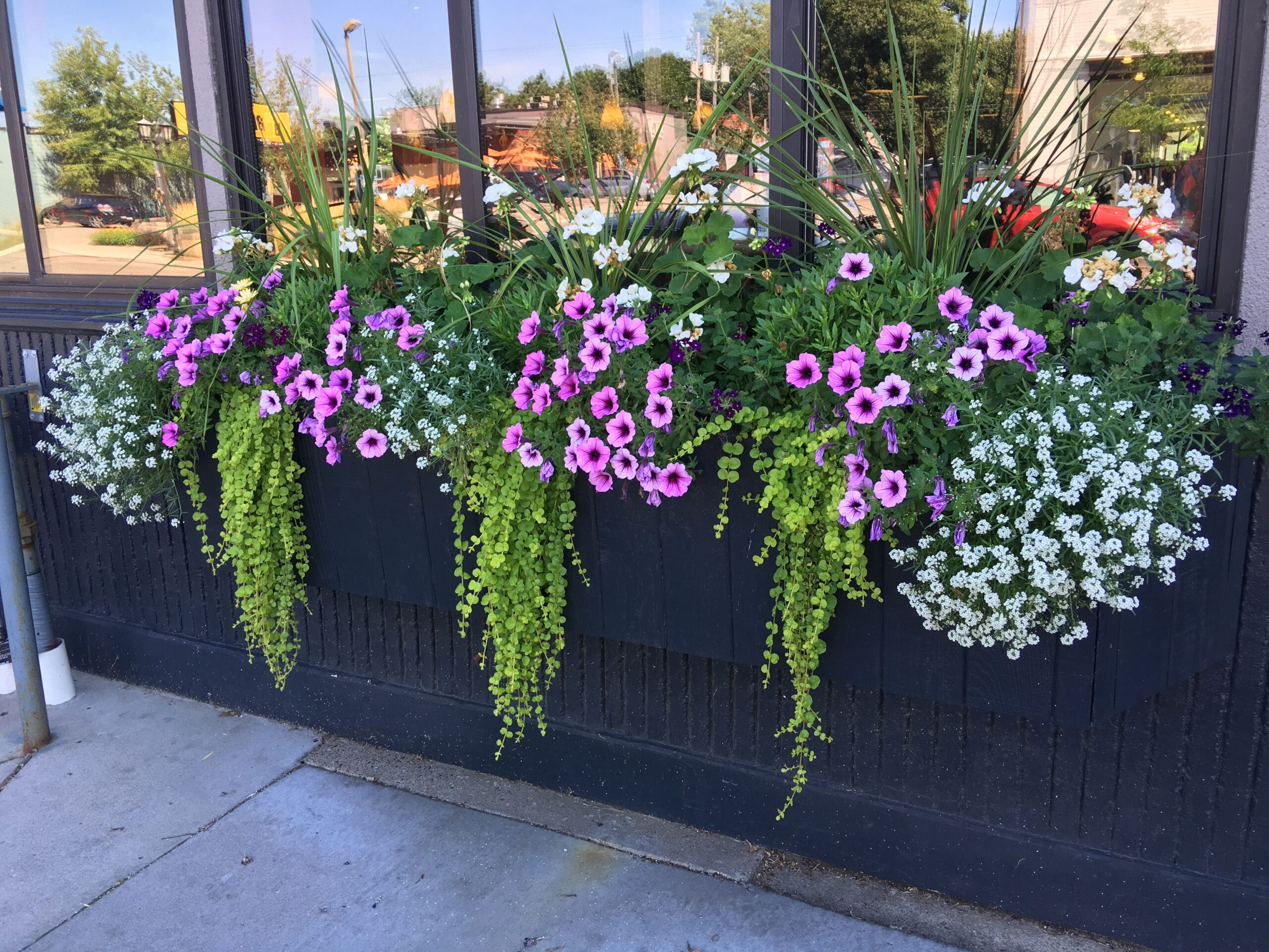 Enhance Your Outdoor Space with Beautiful Deck Planters