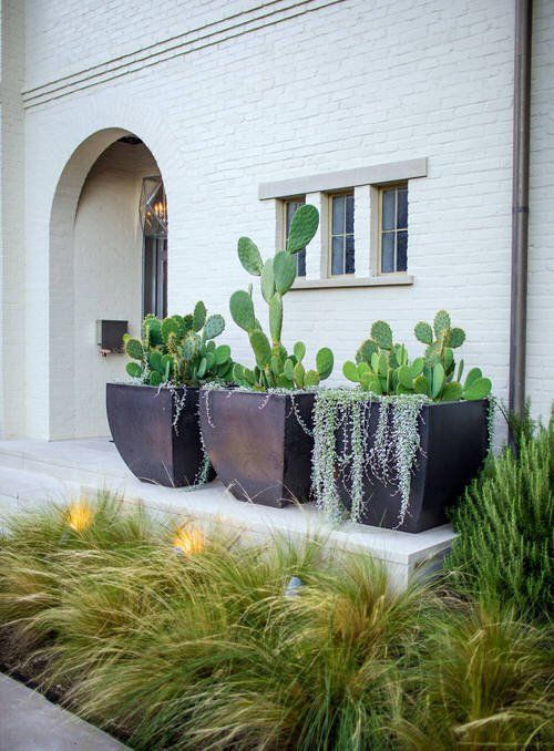 desert landscaping front yard