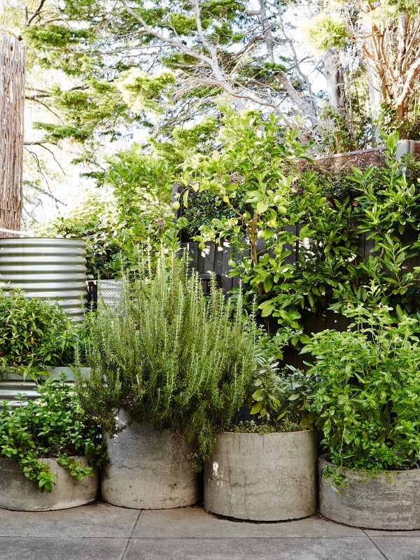 The Beauty of Garden Planter Pots