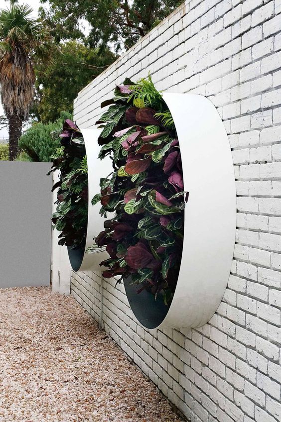 Creative Ways to Enhance Your Garden with Beautiful Walls