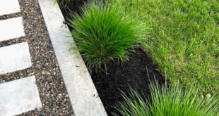 landscaping edging