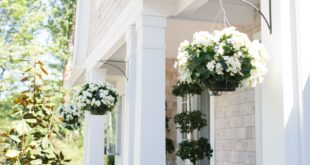 landscaping in front of porch