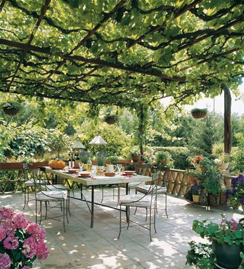 Enhance Your Outdoor Space with a Stylish Pergola Canopy