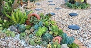 backyard ideas low maintenance