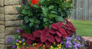 container gardening ideas