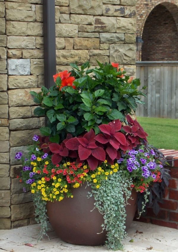 Creative Ways to Grow Plants in Containers