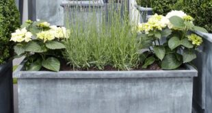 garden planter troughs