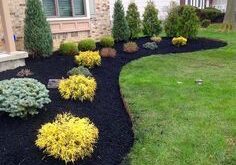 landscaping front of house