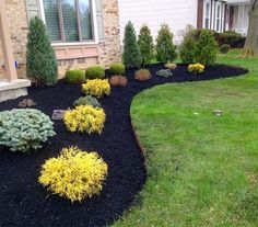 Transforming Your Front Yard with Beautiful Landscaping