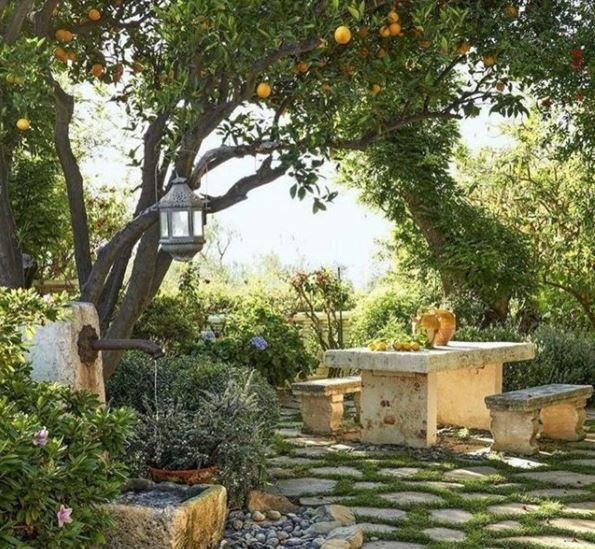 Creative Ways to Transform Your Outdoor Space with Patio Gardens