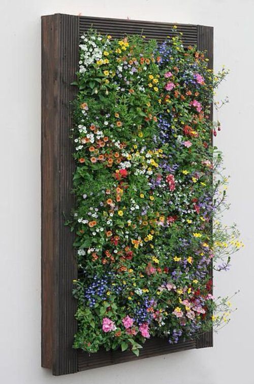 Growing Up: The Beauty of Vertical Gardening