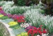 flower bed ideas