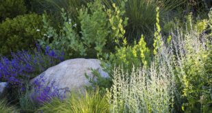 garden design on a slope