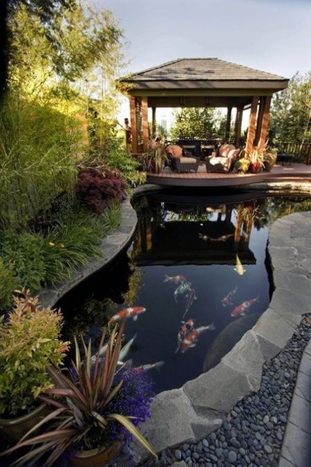 Creating a Tranquil Oasis: The Beauty of a Garden Pond