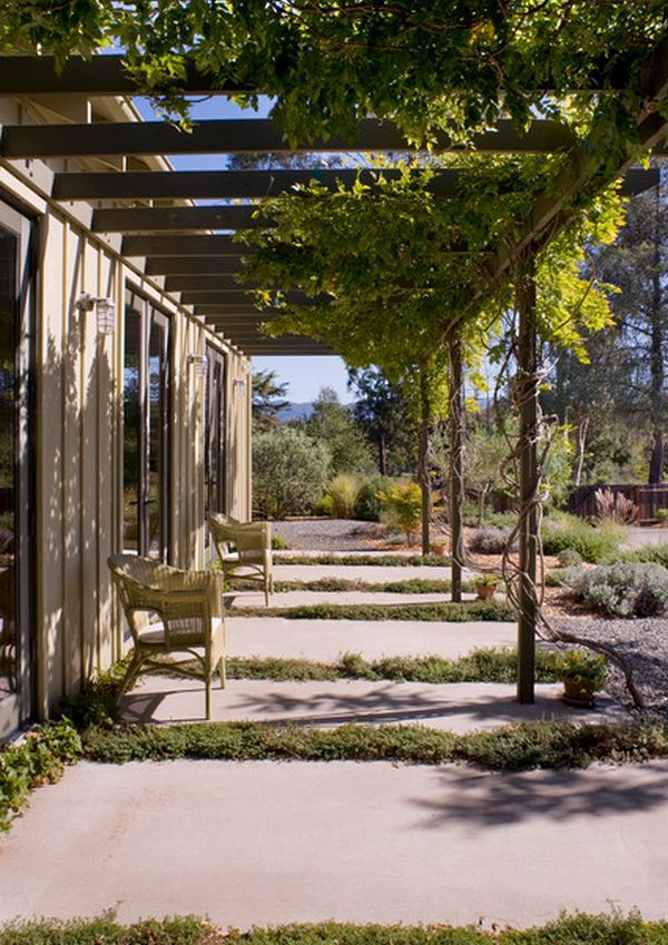 Enhance Your Outdoor Space with a Stunning Pergola Canopy