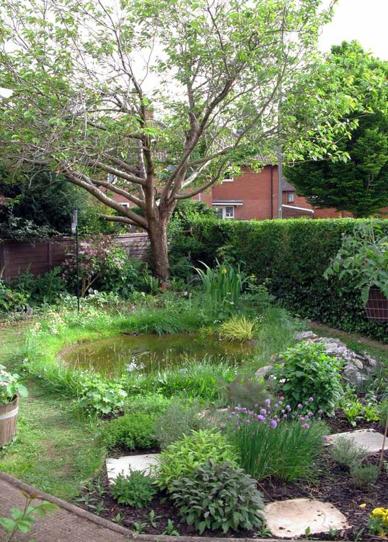 Creating a Tranquil Oasis: The Beauty of a Backyard Pond