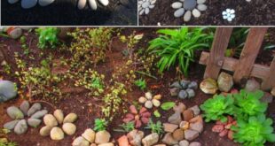 creative garden ideas