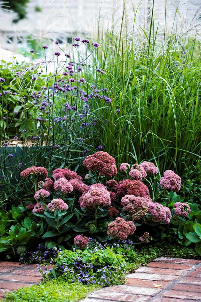 Creating a Stunning Flower Garden: Tips for Designing a Beautiful Outdoor Oasis