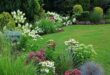 front lawn landscape ideas