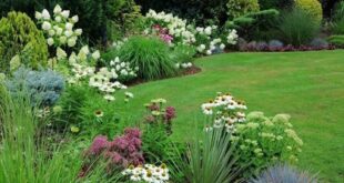 front lawn landscape ideas