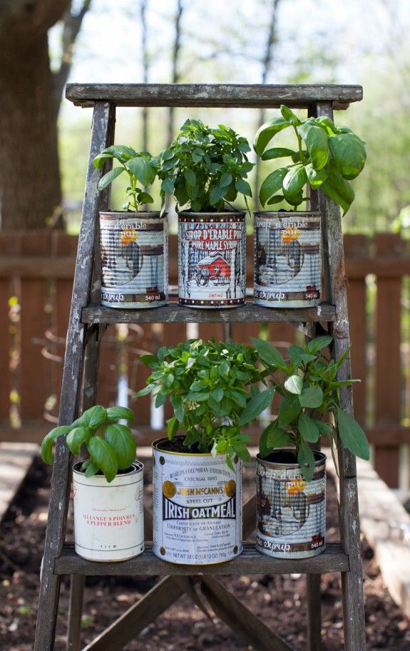 garden diy ideas