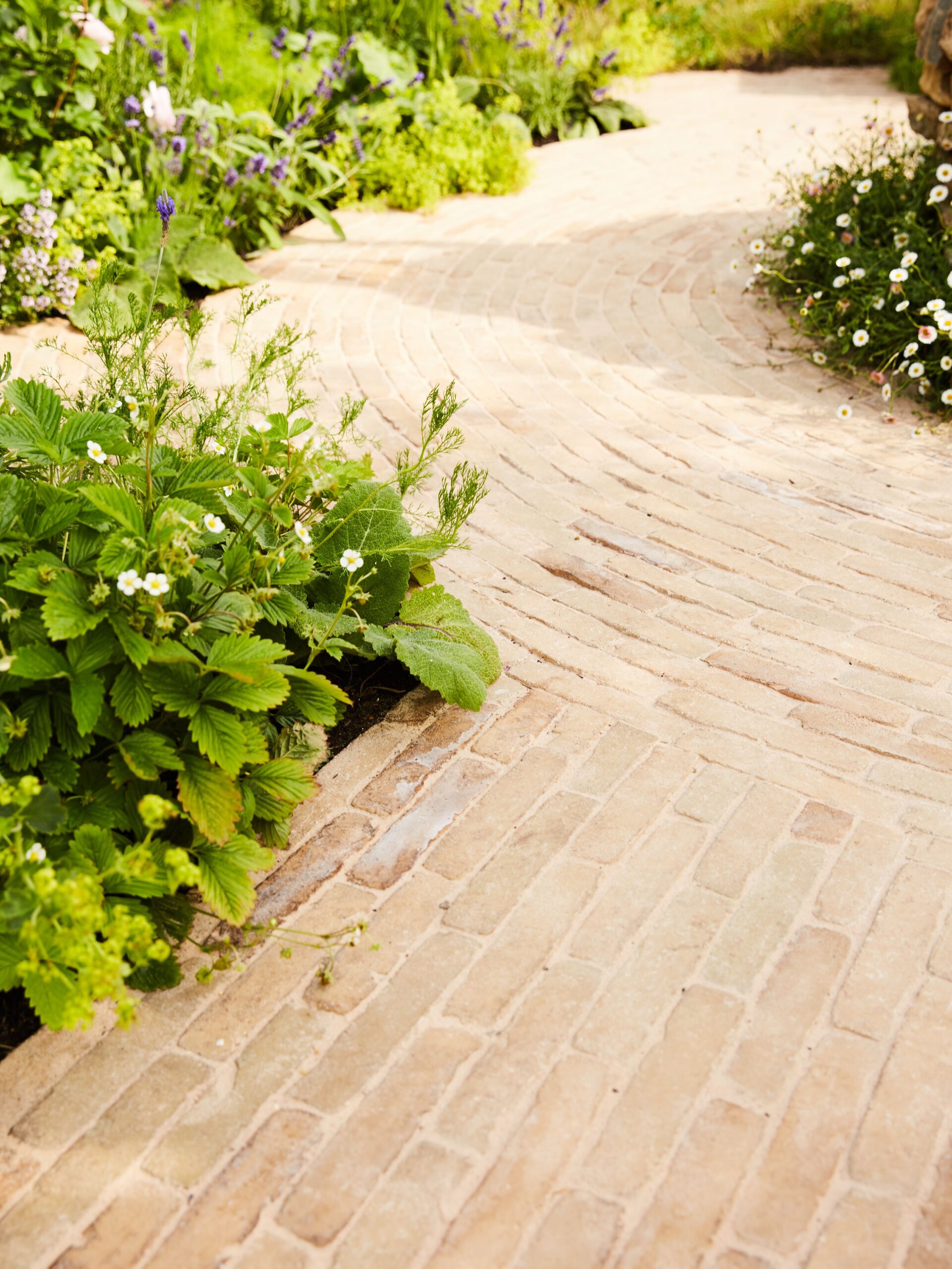 Enhance Your Outdoor Space with Beautiful Garden Paving