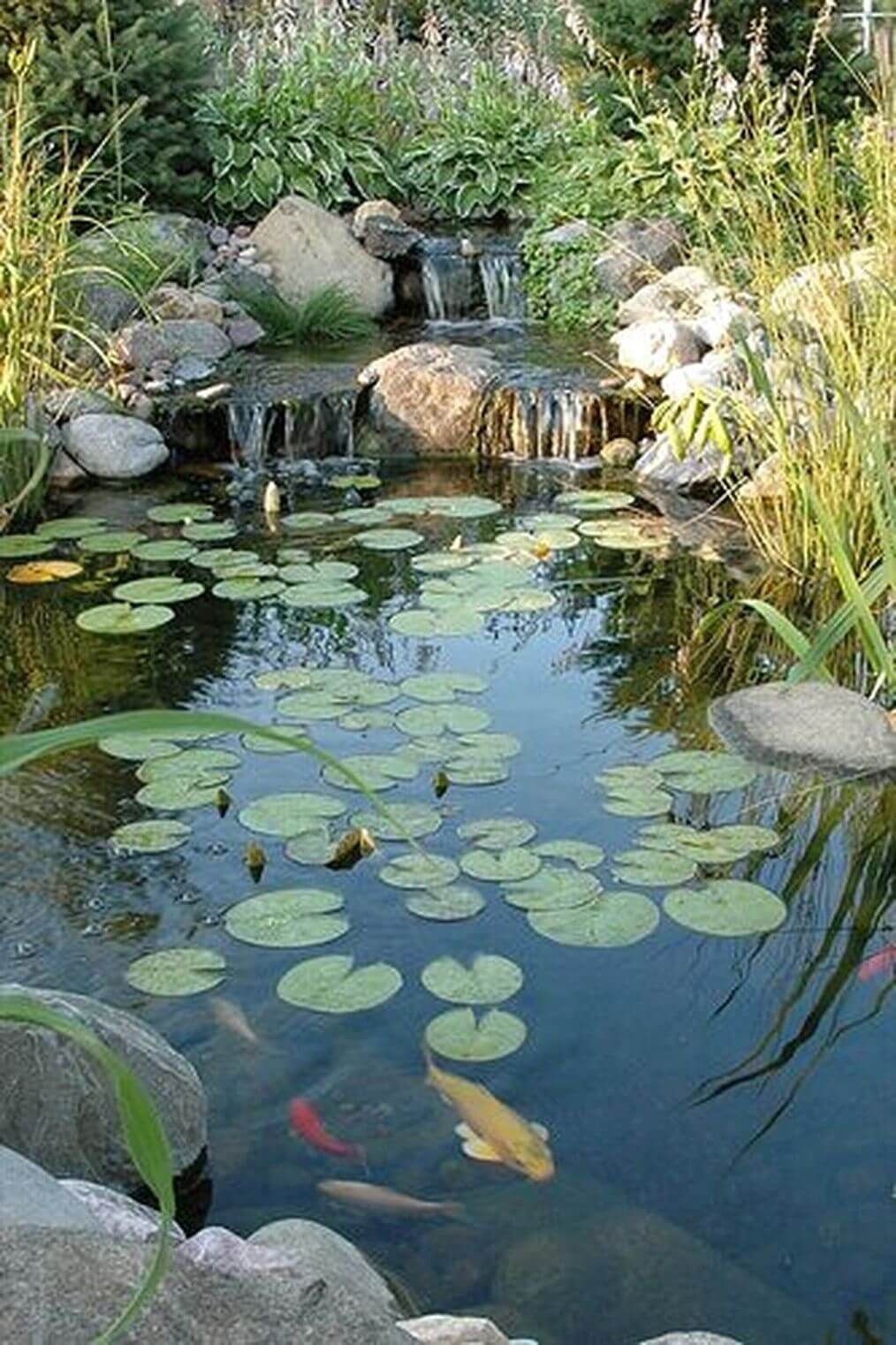 Creating a Tranquil Oasis: The Beauty of a Garden Pond