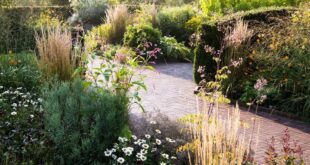 landscaping near house