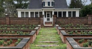 raised bed gardens