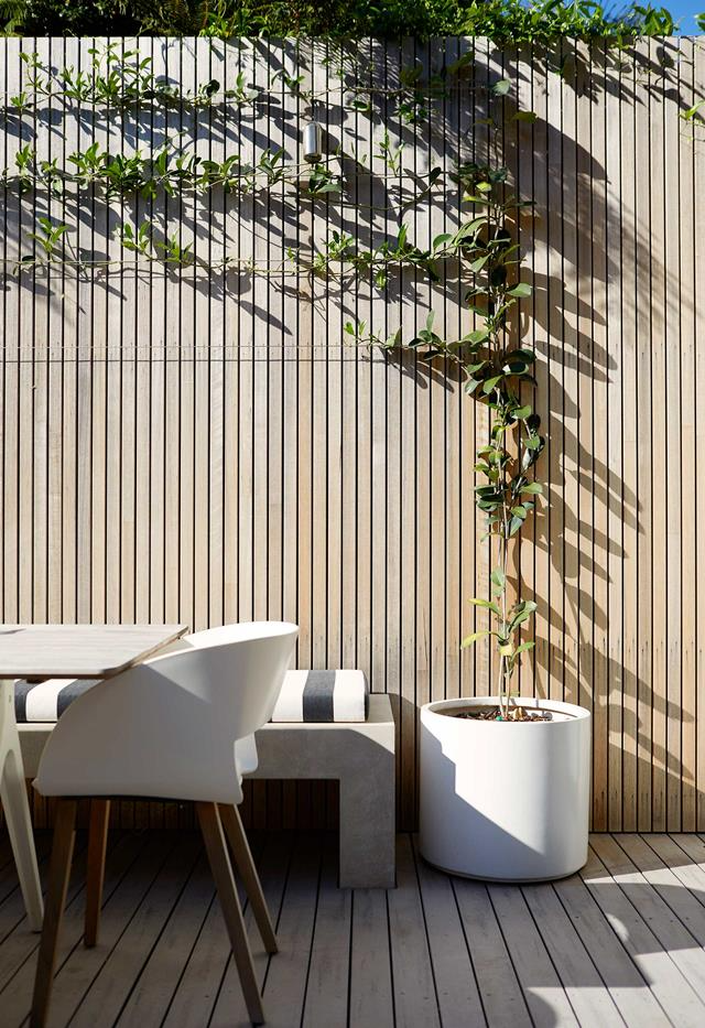 Creating a Charming Garden Wall for Your Outdoor Space