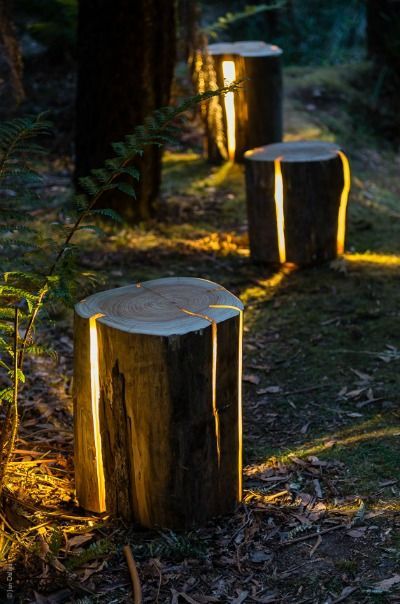 Illuminate Your Outdoor Space with Beautiful Backyard Lights