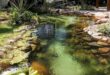 backyard pond