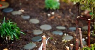 garden diy ideas