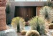 landscaping xeriscape