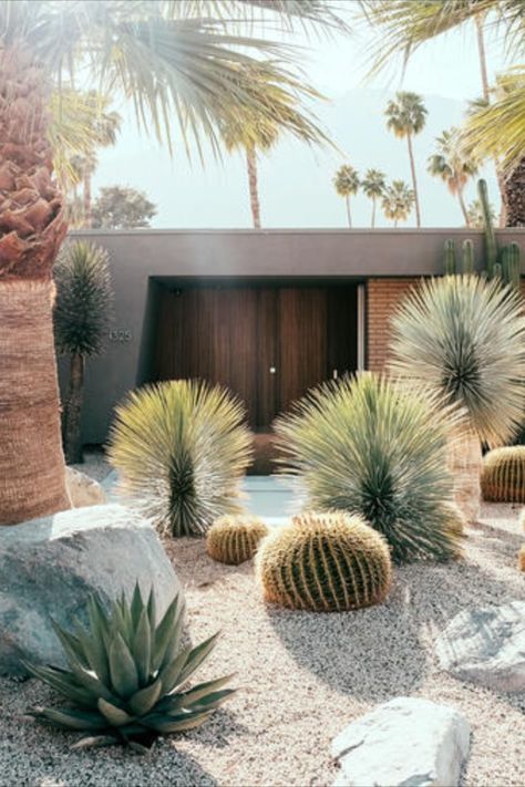 Creating a Water-Efficient Garden with Xeriscape Landscaping