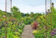 metal garden arches