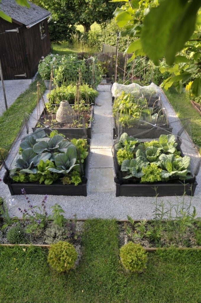 raised bed gardens