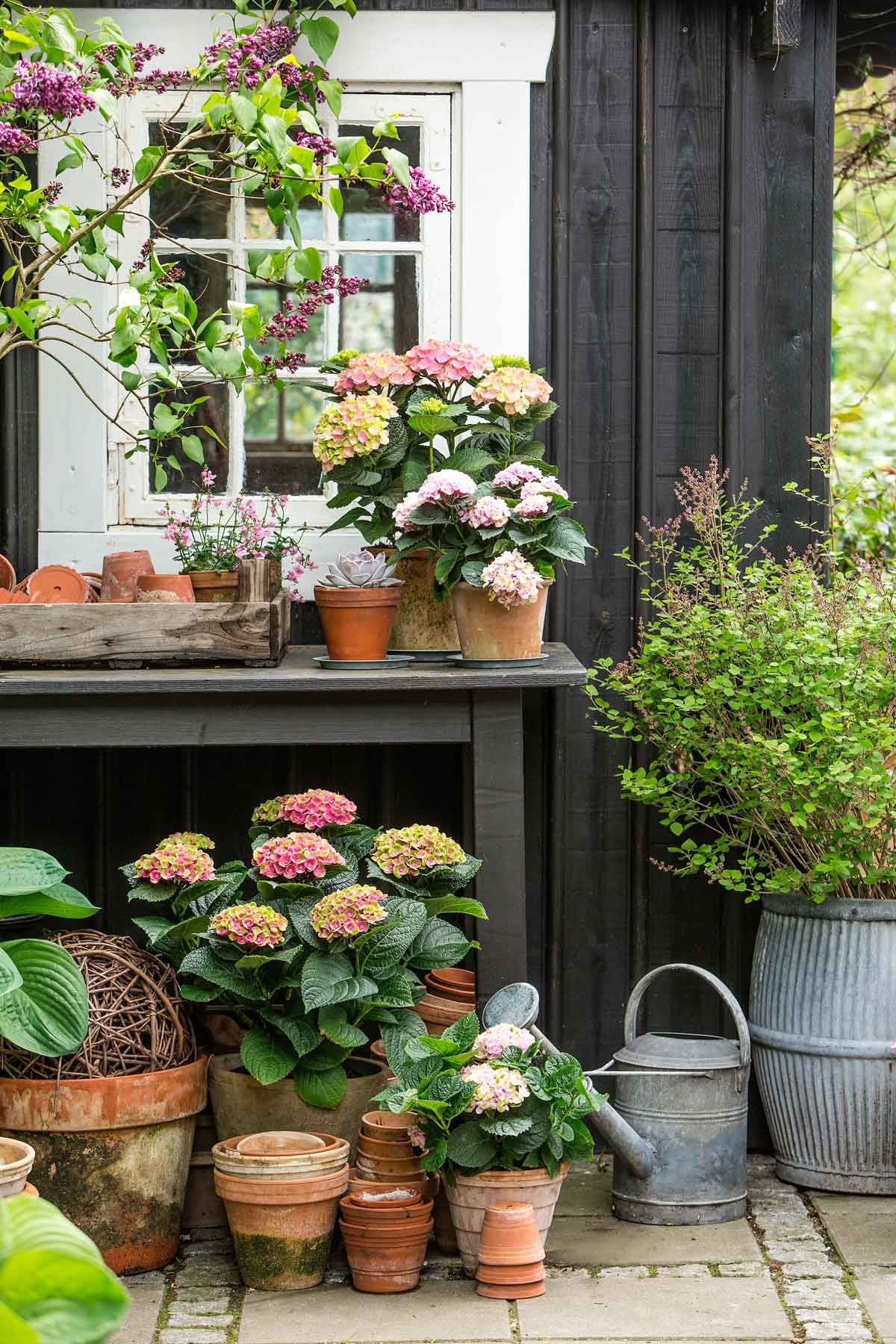 A Beautiful Addition to Your Outdoor Space: The Garden Table