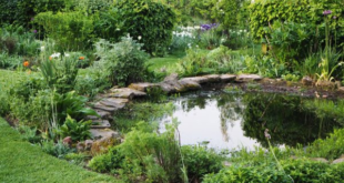 garden pond