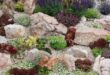 rock garden