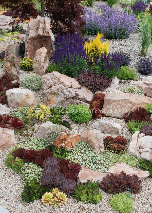 A Beautiful Oasis: The Charm of Rock Gardens