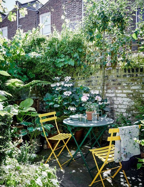 Creative Gardening Solutions for Compact Areas