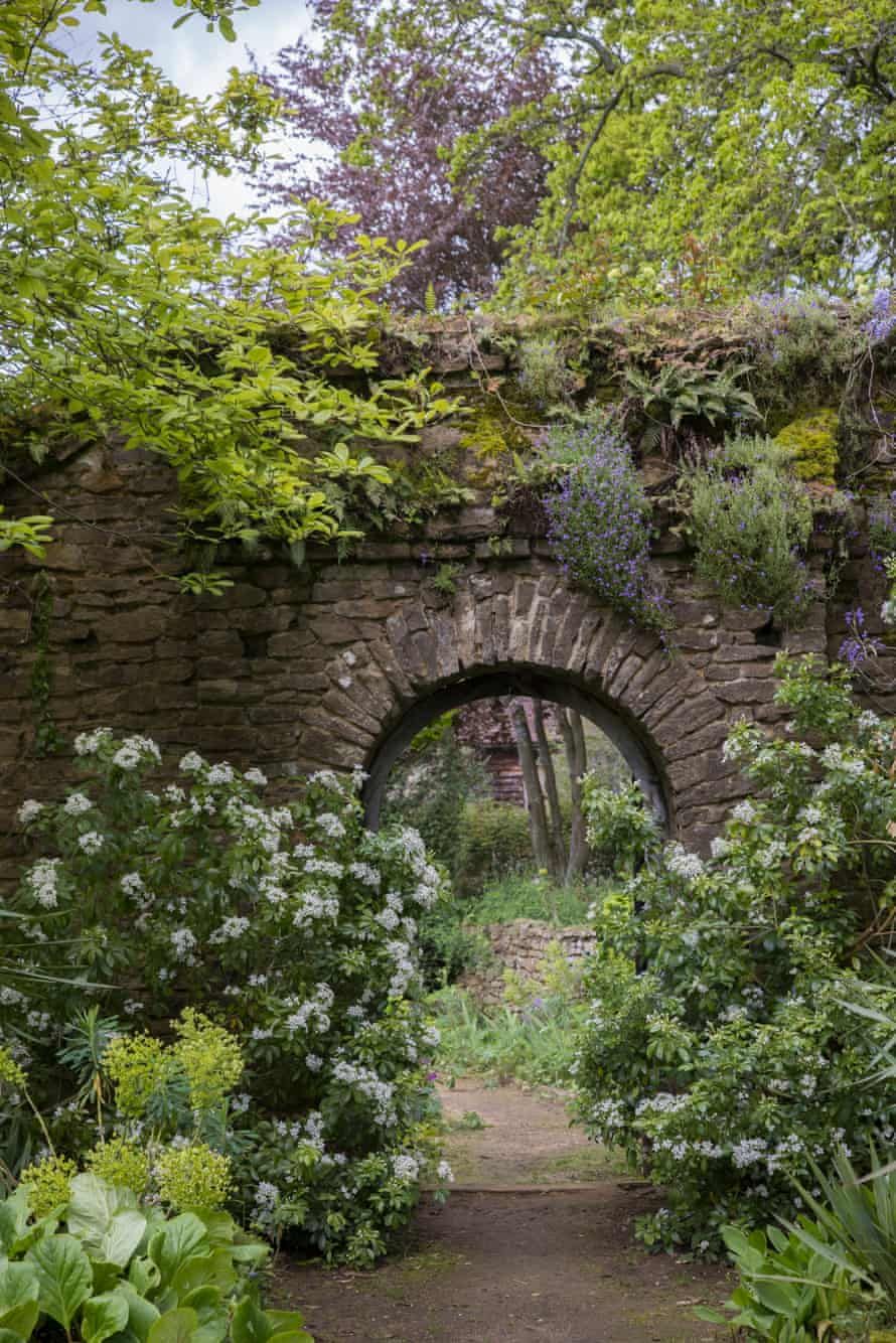 A Blooming Focal Point: The Beauty of English Gardens