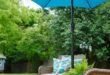 small garden umbrella