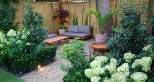 small garden seating area