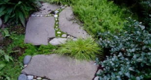 garden stepping stones